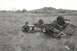 1967 Ford F-100 - A vehicle lies on its side in a field, its chassis and engine exposed to the elements.