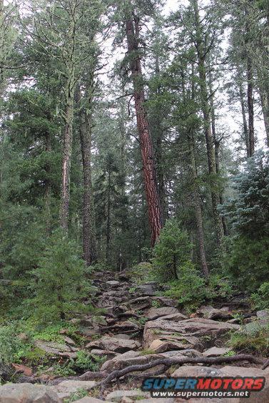 9.13.2014-658.jpg 