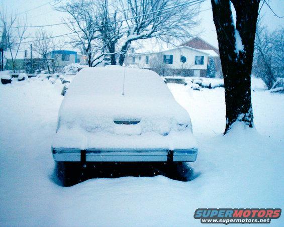 86-ltd-snow-covered-back.jpg Snow covered 2