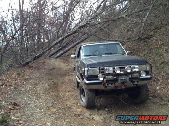 Dark blue Ford Bronco with off-road lights and winch on a dirt trail, fallen trees in background
