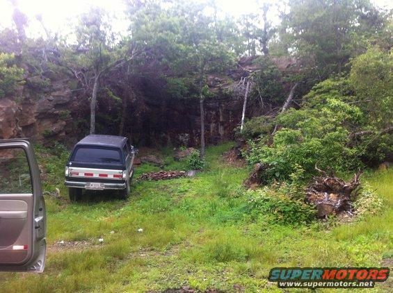 Dark SUV with silver stripe and red/white bumper reflectors parked in grassy woods