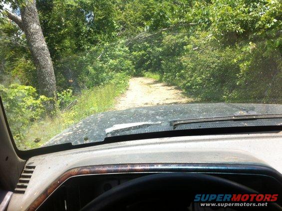 View from inside a vehicle driving on a dirt road through trees