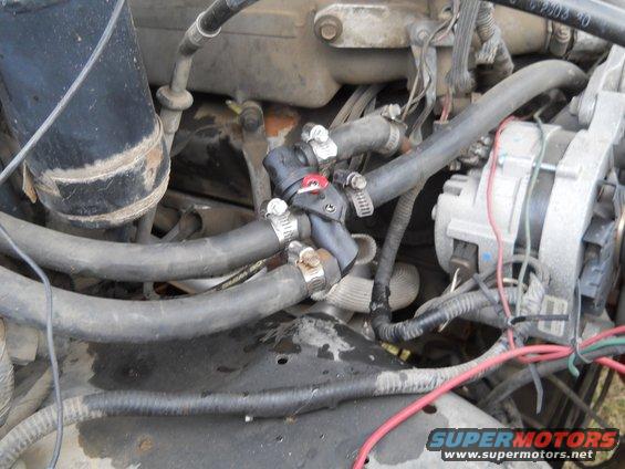 Engine bay with hoses, clamps, and alternator visible