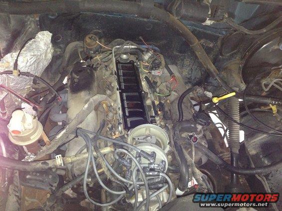 Engine bay with distributor cap and wires, hoses, and insulation