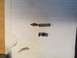 1994 Ford F-150 photo