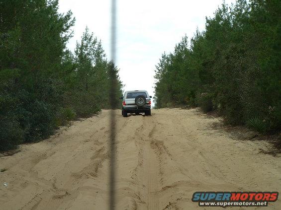 1995 Ford Bronco driving away on a sandy track between pine trees
