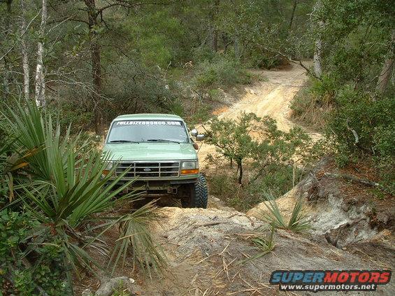 Green 1995 Ford Bronco driving on a dirt trail through trees