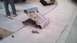 1995 Ford Probe photo