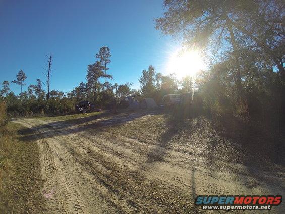 Dirt road leads to several vehicles parked in a clearing with trees and bright sun