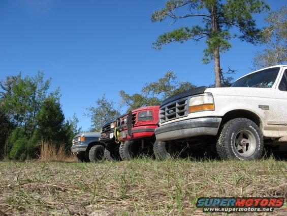 Four trucks parked in a grassy area with trees and blue sky