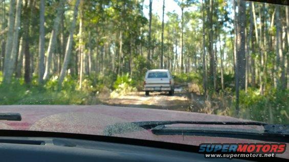 White SUV with camper shell driving on a dirt road through a forest