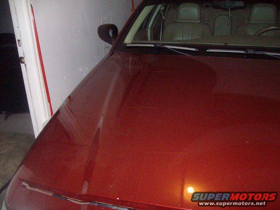 Red 2004 Ford Crown Victoria hood and interior, viewed from the front passenger side