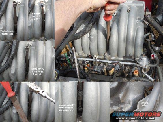 plenumt40.jpg To make accessing the RH middle plenum bolt easier on 5.0Ls & 5.8Ls, widen the gap.  Once the plenum is off, the offending tabs could be removed.
IF THE IMAGE IS TOO SMALL, click it.

[url=https://www.supermotors.net/registry/media/1040058][img]https://www.supermotors.net/getfile/1040058/thumbnail/v8plenumt40.jpg[/img][/url] . [url=https://www.supermotors.net/registry/media/894688][img]https://www.supermotors.net/getfile/894688/thumbnail/intakev8efi.jpg[/img][/url] . [url=https://www.supermotors.net/registry/media/1052886][img]https://www.supermotors.net/getfile/1052886/thumbnail/plenumt40j.jpg[/img][/url]