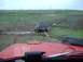 1976 Ford F-100 - A vehicle is being towed out of a muddy ditch on a cloudy day.