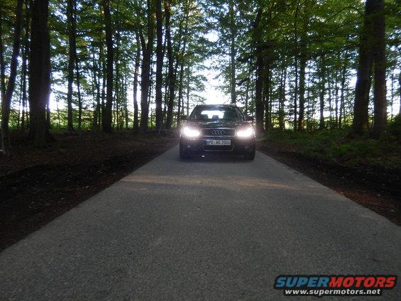 Audi A4 B6 driving on a paved road through a forest