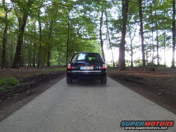 2003 Audi A6 sedan from rear, parked on a road in a forest