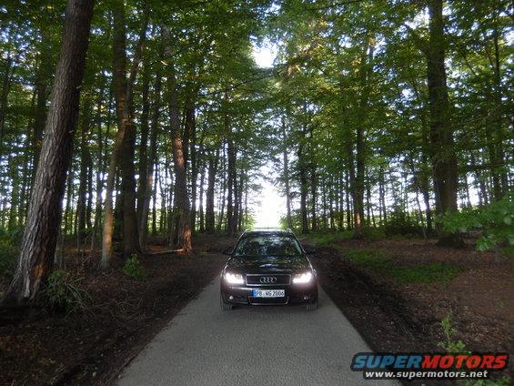 Audi A4 B6 on a tree-lined road, license plate PB-MG 2004