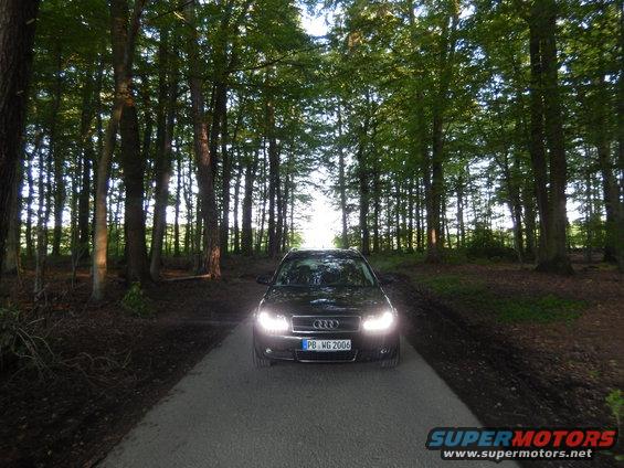 Black Audi sedan with license plate PB WG 2006 driving on a paved road through a forest