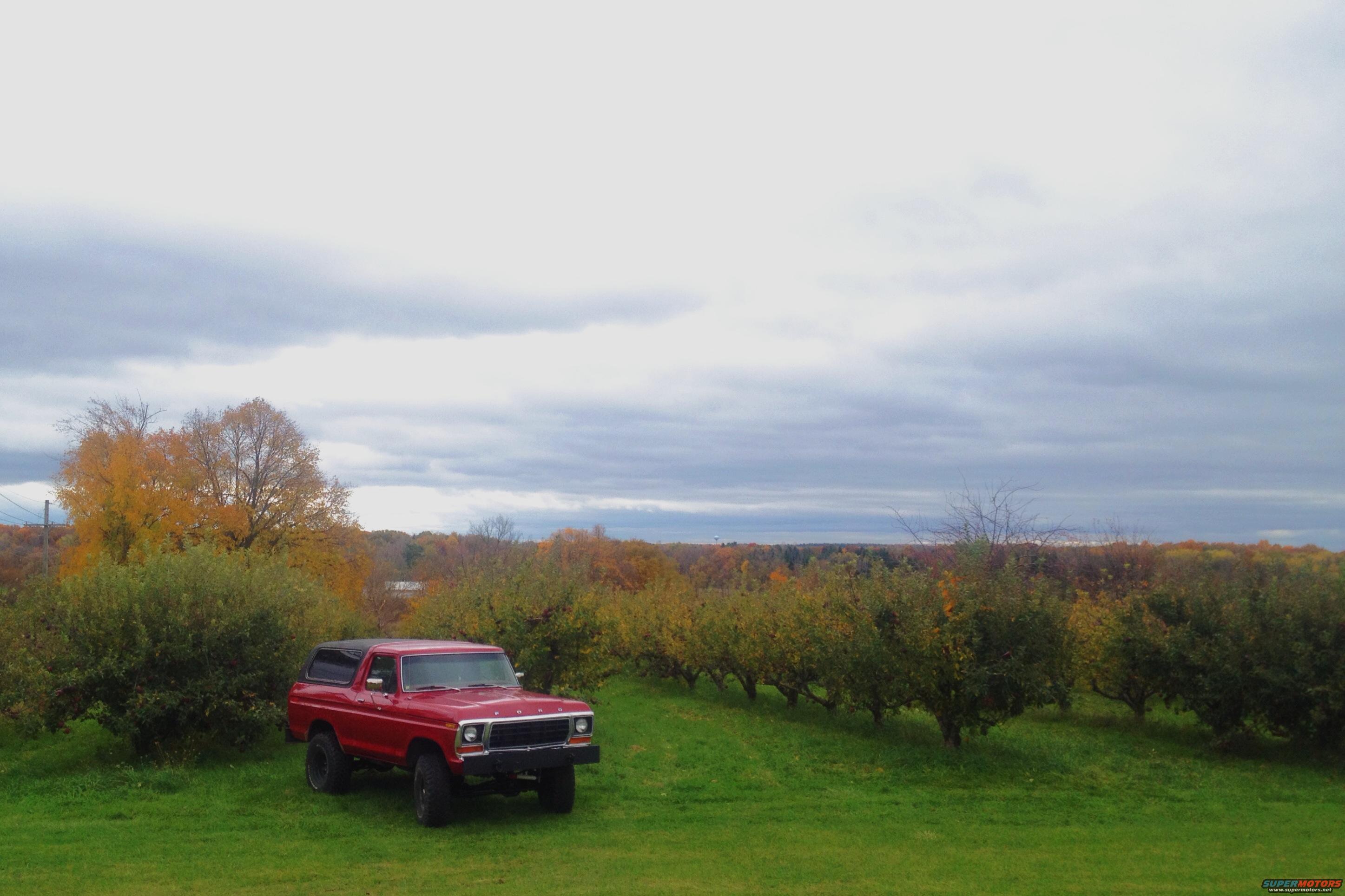 1978 Ford Bronco photo