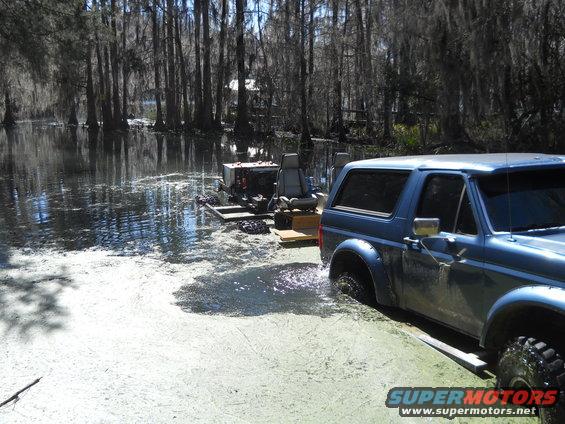 Blue SUV driving through swamp water with trees and Spanish moss in background
