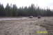 1990 Ford Bronco - Two SUVs navigate a dirt field with a dense forest in the background.