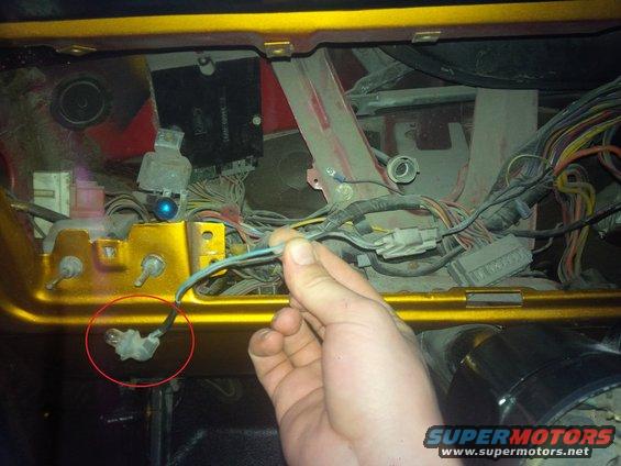 Close-up of vehicle wiring harness with a hand holding a wire bundle near a red-circled component
