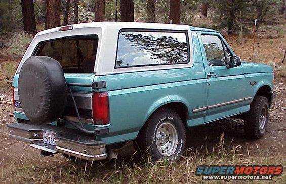 bronco-#3.jpg Just posing.
