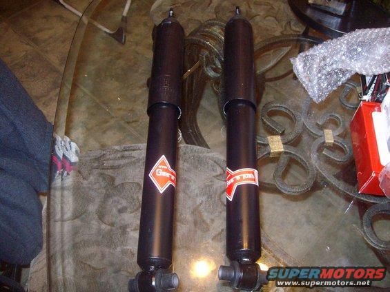 Rear Shocks