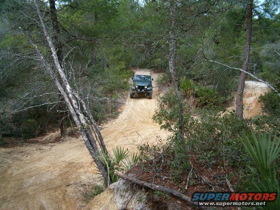 Green Jeep Wrangler driving up a sandy trail in a wooded area