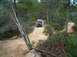 1991 Ford Bronco - A Jeep navigates a dirt path surrounded by dense trees and foliage.