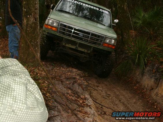 Shanes' rig