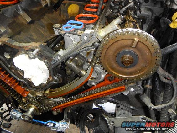 Engine timing chain and gears with orange plastic guides and a metal sprocket