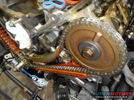 Engine timing chain and gears with orange tensioner