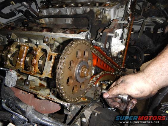 Engine timing chain and gears during replacement