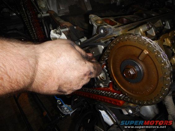 Close-up of a mechanic's hand adjusting a vehicle's engine timing chain and gears
