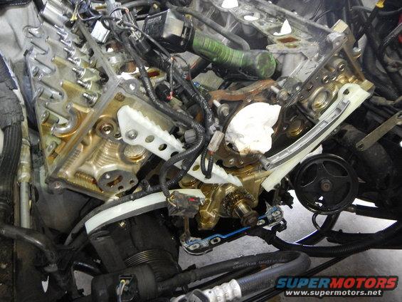 Engine timing chain assembly with exposed gears and white plastic guides