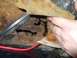 1979 Ford Bronco - Severe rust damage is visible on the vehicle's floor pan, with a large hole exposing the undercarriage.