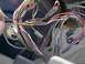 1979 Ford Bronco - A complex vehicle wiring harness is visible, with numerous wires and connectors in disarray.