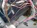 1979 Ford Bronco - A complex vehicle wiring harness with numerous wires and connectors is visible.
