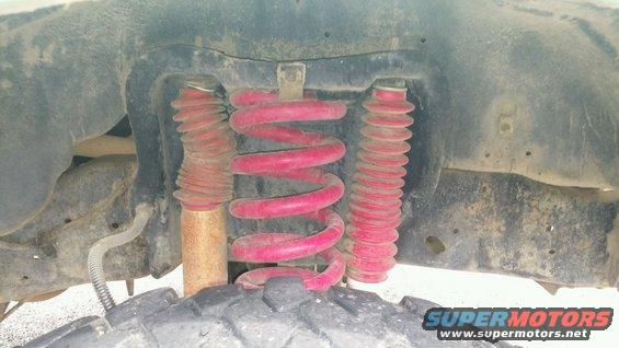 Close-up of red coil springs and shock absorbers with rubber boots