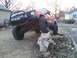 1986 Ford Bronco photo