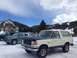 1989 Ford Bronco photo