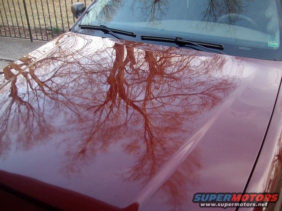 picture-028.jpg Not too bad of a wax job.