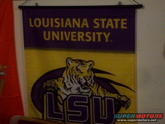 picture-041.jpg Geaux Tigers!!! 