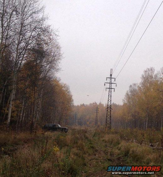 Dark SUV parked off-road in autumn woods with power lines overhead