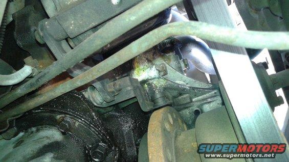 Close-up of engine component with oil leak and hoses