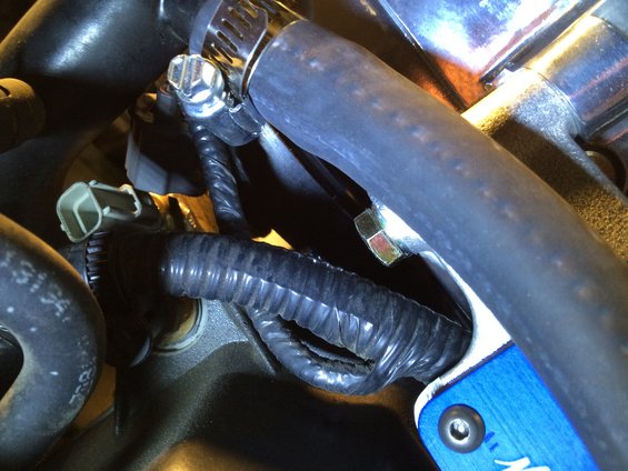 Engine hoses and wiring harness with metal clamps and a blue bracket