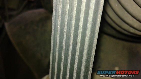 Serpentine belt with multiple ribs, close-up view