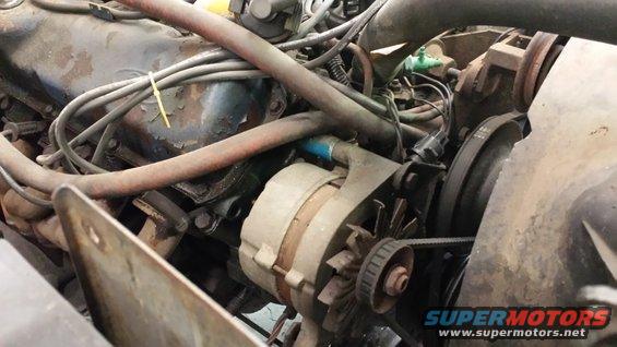 Close-up of an engine bay, showing the alternator, belts, and various hoses and wires