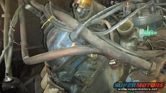 Close-up of engine components, hoses, and wiring. Water pump housing visible